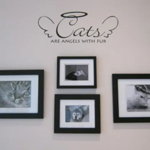 Framed photos of cats